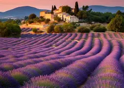 开云官网-法国杯窗口期走向成谜，浙江队篮板制胜，更衣室稳定，更衣室氛围转暖